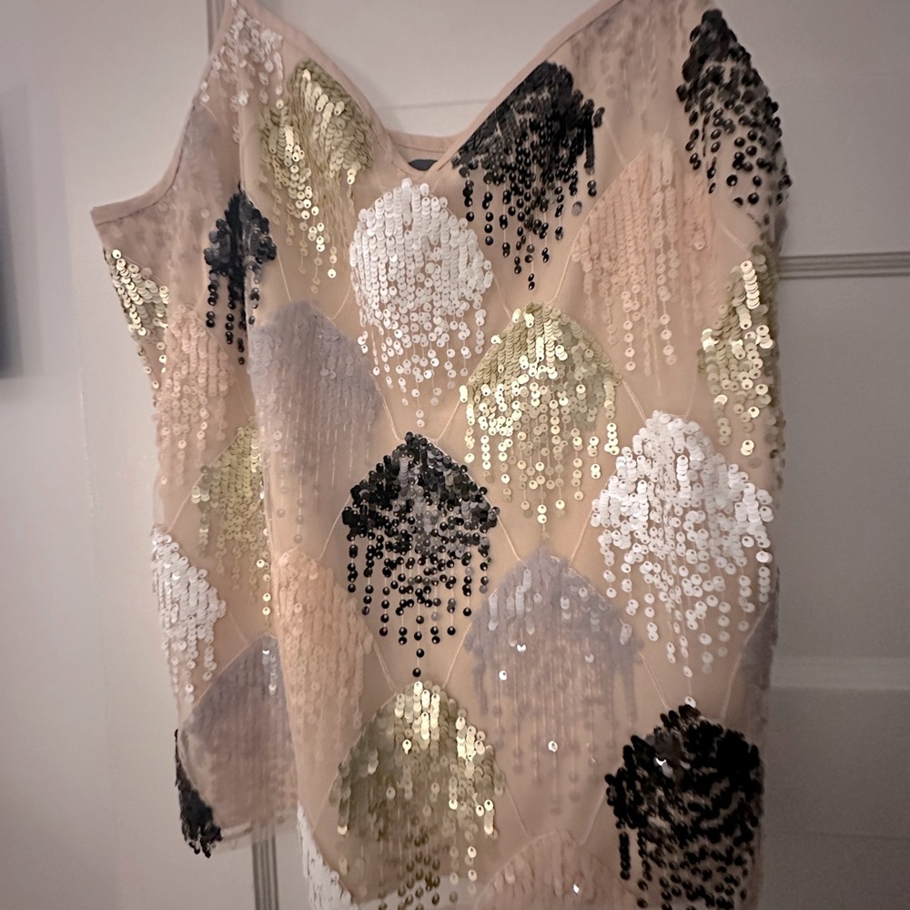 Eva Franco Sequin Blush Blouse
